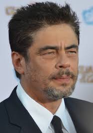 Benicio del Toro 