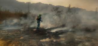 We did not find results for: Se Incendian Matorrales En Santa Catarina