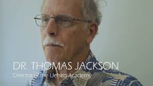 An Introduction to p4cHI