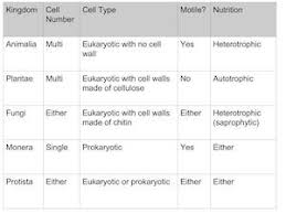 What Are The Kingdoms Of Life Study Com
