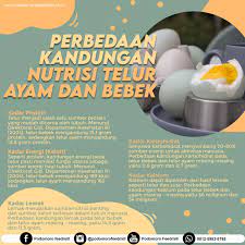 Manfaat kuning telur bebek didapat dari nutrisinya yang sangat tinggi. Perbedaan Kandungan Nutrisi Telur Ayam Dan Bebek Podomoro Poultry Equipment