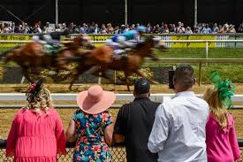 Trainer michael mccarthy won his first triple crown race and captured the preakness before hall of famer todd pletcher. Zrmlg9m135phvm