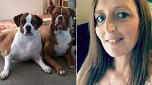 Jun 08, 2021 · saman abbas, le ultime ore secondo il fratello: Sbranata Viva Dai Suoi Due Cani Aveva 3 Figlie I Vicini Abbiamo Sentito Le Urla Di Dolore