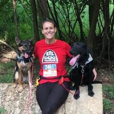Check spelling or type a new query. The 10 Best Dog Boot Camp In Saint Louis Mo With Free Estimates