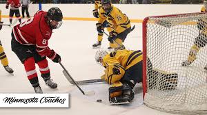 Men's Hockey set to host a trio of games in Hunt Arena this week