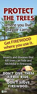 The average lawn should be mowed each week. Firewood Rules And Resources Wisconsin Dnr