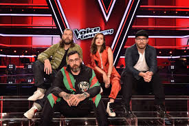 The voice of germany 2020: The Voice Of Germany Das Sind Die Finalisten