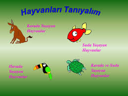 Hayvanlar Alemi Ppt Indir
