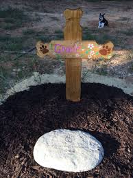 Find this pin and more on brenda by brenda lewis. Memorial Pet Burial Wooden Cross Personalized Use Inside Or Outside In A Planter Or Backyard Name Dates Only Urns Memorials Pet Supplies