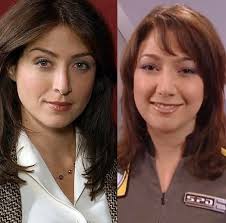 Alternative shows to So Help Me Todd, including High Potential