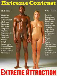 Aryan Breeding Interracial Captions - Cumception