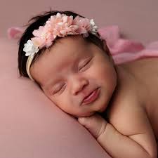 Boston Newborn and Family Photographer (@kaufman_photography) · Sharon, MA