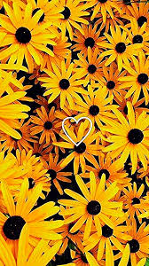 Samsung Wallpaper Yellow Background Tapete Wallpaper Samsung Aesthetic W Aesthetic In 2020 Samsung Wallpaper Yellow Flower Art Flower Phone Wallpaper