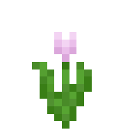 Pink Tulip Minecraft Item Id Crafting List Wiki Minecraft Pocket Edition And Pc Release 1 15 2 Painting Minecraft Minecraft Drawings Minecraft Wallpaper Shop affordable wall art to hang in dorms minecraft, minecraft, minecraft memes, daisy, minecraft daisy, minecraft flowers, white, find your fruit, fruits, abstract, background, colorful, floral, health, vitamins, pattern, fashion, vegan. pink tulip minecraft item id crafting