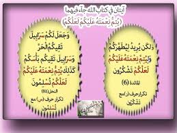 نور الهداية متشابهات القرآن ولمسات بيانية 2 لعلكم تشكرون لعلكم تسلمون إسلام ويب في سياق بيان ما أنعم الله به على عباده من رخص التكاليف الشرعية ومنها رخصة التيمم