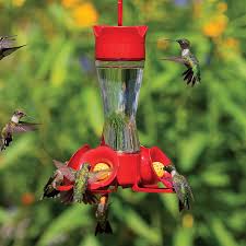 We did not find results for: Duncraft Com Best Selling Four Flower Frolic Hummingbird Feeder