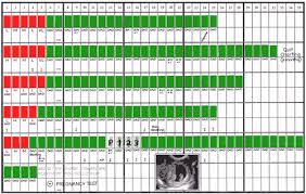 52 Right Creighton Model Chart