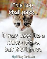 Funny celebrity pics celebrity pictures normal movie stage 3 kidney disease thats all folks van damme having a bad day funny quotes funny humor mike tolcher, kidney failure and life on dialysis my name is mike tolcher, i was born with kidney failure and currently on dialysis, click here to see me mike tolcher dealing with kidney failure and. Cool Funny Quotes On Twitter This Too Shall Pass It May Pass Like A Kidney Stone But It Will Pass Life Funny Kidney Sayings Itwillpass Https T Co Tgq1bupapa Https T Co Ihj28tcy6b