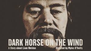 Dark Horse On The Wind (2022) [Trailer]