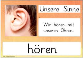 Aushaenge Unsere Sinne Zaubereinmaleins Designblog Kostenlose arbeitsblätter und unterrichtsmaterial für den sachunterricht zum thema sinne in der grundschule. zaubereinmaleins