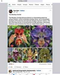 Sarah Clise aka S. Clise of AI | 🤦‍♀️🤦‍ ...