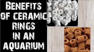 Ceramic Rings A Powerhouse Of Beneficial Bacteria In An Aquarium Aquapets Farm Youtube