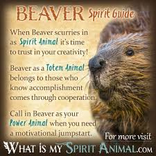 Native American Animal Symbols Meanings Animal Symbolism Spirit Animal Meaning Animal Meanings Power Animal