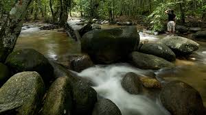Selangor, diketahui umum sebagai negeri termaju di malaysia. Sungai Tua Recreational Forest Hutan Lipur Sungai Tua Visit Selangor