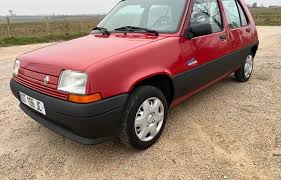 Image result for Gris Perle 1995 Renault