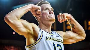 Image result for Dissotis brazzae