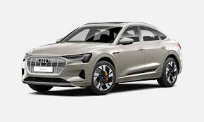 Image result for Siam Beige 2020 Audi