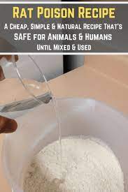 Try This Homemade Rat Poison Recipe Just 3 Ingredients Homemade Rat Poison Rat Poison Diy Mice Repellent