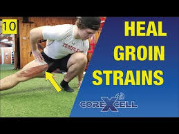 If involved in athletics and you have a history of groin injuries, ask your medical professional about activities. Groin Strain Adductor Magnus One Day Fix Using This Unexpected Exercise Ep10 Youtube