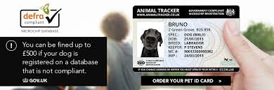 If no microchip is found, the vet can implant one and add the details to the nsw pet registry. Animal Tracker Microchip Registration Database For Pet Owners