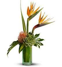 Birds Of Beauty Tropical Flower Arrangements Tropical Floral Arrangements Flower Arrangements