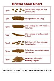 the bristol stool chart am i constipated natural