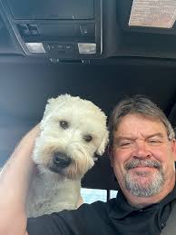 Barnaby enjoying a trip in the truck today