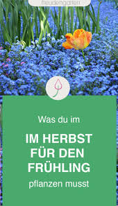 Was Du Im Herbst Fur Einen Zauberhaften Fruhlingsgarten Pflanzen Solltest In 2020 Pflanzen Garten Pflanzen Garten