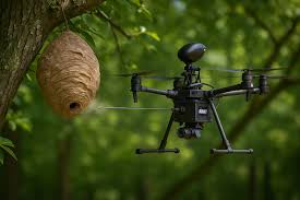 Avis d'experts : Drones anti-frelons asiatiques : la technologie au se