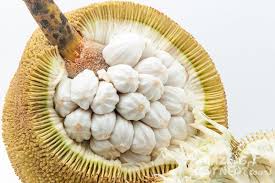 Seberapa baik anda bisa menahan kucing akan berperan besar dalam kesuksesan pemberian obat tetes mata. 10 Bornean Fruits You Must Try Before You Die Travelogue Amazing Borneo Tours