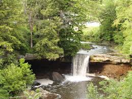 Image result for cascade