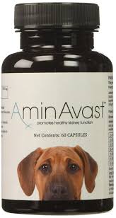 Aminavast Kidney Support For Dogs 60 Capsules Want Additional Info Click On The Image This Is An Affiliate Dog Health Care Dog Health Cat Health Care