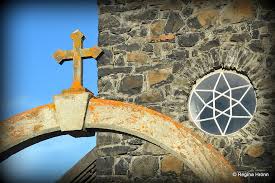 Image result for Tragia kirkiana