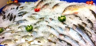 37 jurong port road singapore 619110 24 hours fax: Yqn Vaso83pkam