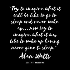 Try To Imagine What It Will Be Like To Go To Sleep And Never Wake Up Alan Watts Zen Quote 190516 Poster By Quotesgalore In 2021 Zen Quotes Alan Watts Motivational Quote Posters