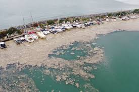 Sea snot was first reported in 1729 and has long been seen as a nuisance to the fishing industry and costal populations.2 however, sea snot has emerged as serious hazard. Disgusting Sea Snot Outbreak Plagues Turkish Holiday Resorts Popular With Brits World News Mirror Online