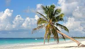 Playa Paraiso Public Beach In Tulum Mexico Travel Vacation Trips Best Beaches In Mexico