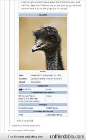 2 Machine Guns Versus 20 000 Emus Funny Pictures Tumblr Funny Emu War