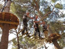 Le Parc Aventure Accrobranches Cassis Forest Entre Calanques Et Cap Canaille A Cassis Www Ot Cassis Com House Styles Activities Forest