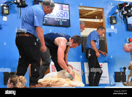 Andrew mudge hi-res stock photography and images